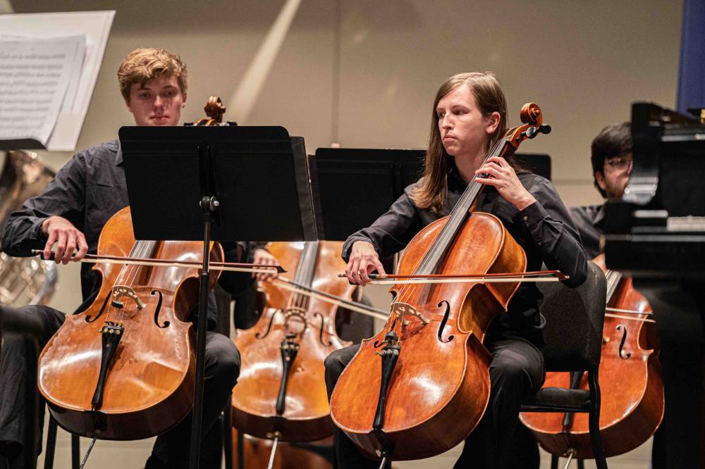 photo of the cello section